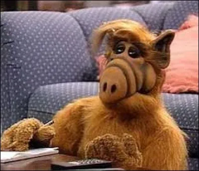Alf est-il un cowboy ou un shérif ?