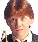 Quel est le meilleur ami pour Harry Potter ?