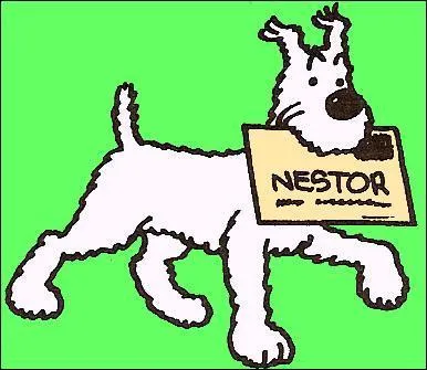 Comment s'appelle le chien de Tintin ?