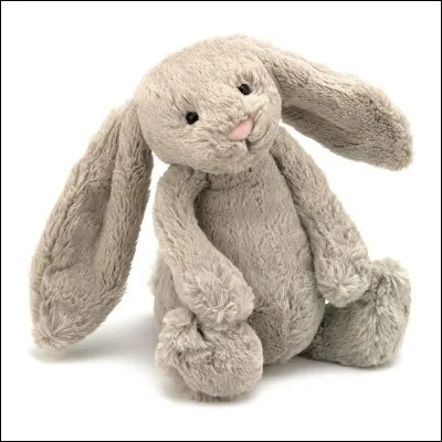 Le cæcum est comparable à :