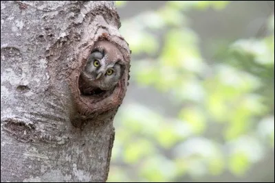 Contrat d'affrètement d'un navire !