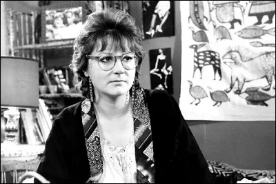 Dans "le maître d'école", un vendeur de jeans, décide de devenir instituteur suppléant. Nommé dans une école, il s'aperçoit vite que le métier d'instituteur n'est pas comme il l'imaginait. Qui joue le rôle de l'instituteur ?