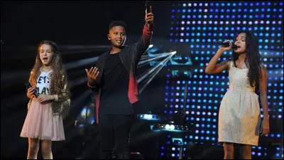 Où sera le dernier concert du groupe dans la tournée de 2017 ?