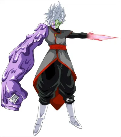 Qui tue Zamasu fusionné dans l'arc avec Gokû Black dans la version de l'anime ?