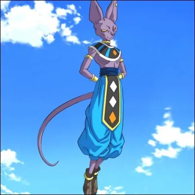 Que cherche Beerus quand il arrive sur terre, dans l'anime ?