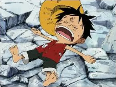 Combien de formes Luffy peut-il prendre (forme normale inclue) ?