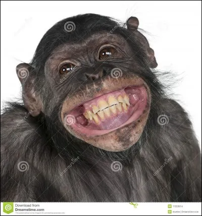 Simiesque, astronaute, Boulle !