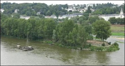 Quelle est cette île tourangelle située sur la Loire et accessible grâce au pont Napoléon ?