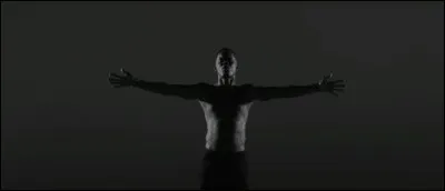 De combien de refrains est composée la musique "Cheveux blancs" ?