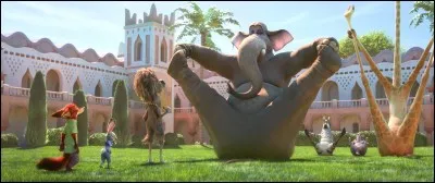 Qui est l'éléphant ?