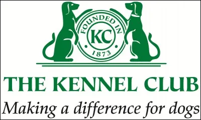 En quelle année le Kennel Club reconnaît-il la race ?