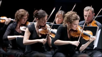 La phrase « la sonnate sonnait du tonnerre ! » est correctement orthographiée.