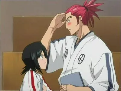 Qui sont ces 2 shinigamis de Bleach ?