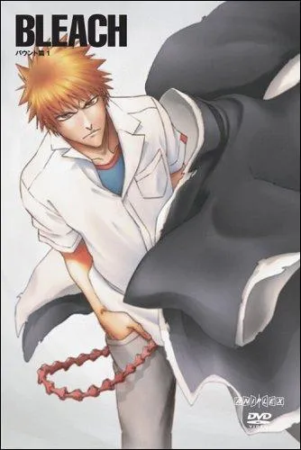 Le personnage principal du manga Bleach :