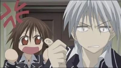 Qui sont-ils (manga Vampire Knight) ?