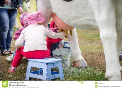 Le verbe traire ne se conjugue pas à toutes les formes !