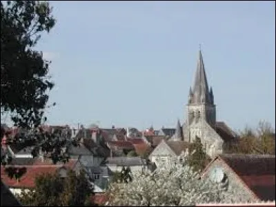 Ferri&egrave;re-Lar&ccedil;on est une commune Tourangelle situ&eacute;e en r&eacute;gion ...