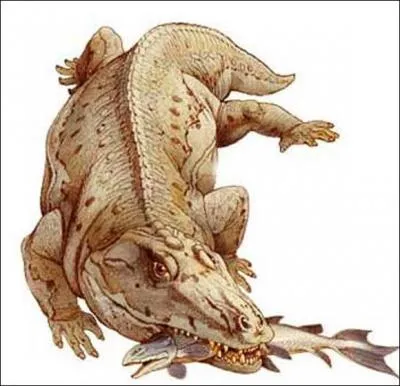 Amphibien prhistorique 'Er...'