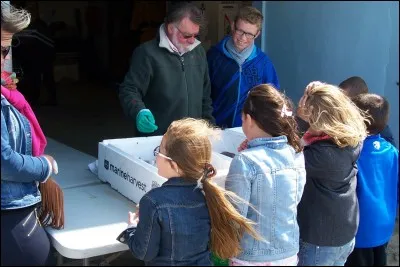 Je préfère les explications...