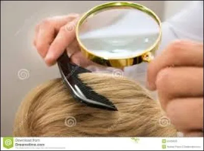 En examinent les cheveux de sa fille a la loupe, elle a vu un bout qui pendait.