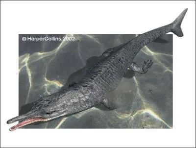 Mi-croco, mi-poisson !