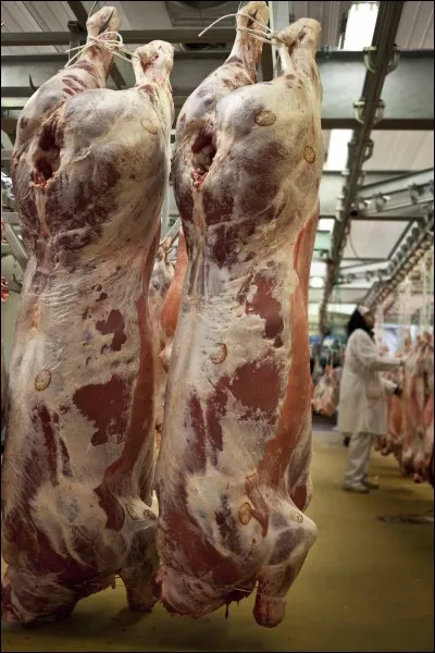 Cette vision aurait sans nul doute inspiré un peintre célèbre, lequel ?