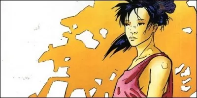 Quel est le titre de cette bande dessinée ?