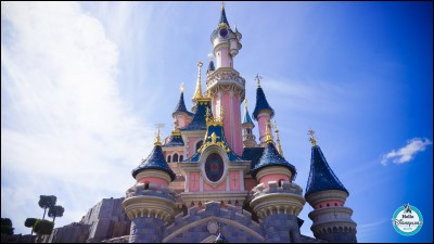 À qui appartient le château de Disneyland Paris ?