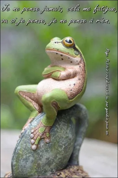 Et jeter un pavé dans la mare où la grenouille...