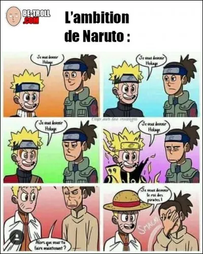 Que veut faire Naruto apr&egrave;s &ecirc;tre devenu Hokage, sur cette photo ?