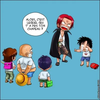 Qui a pris le chapeau de Luffy ?