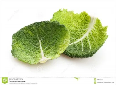 Dans une chanson de 1964, quel chanteur dit n'avoir rien vu d'aussi haut que "New York, USA" ?