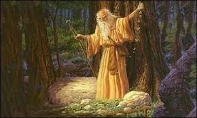 De quel peuple les druides étaient-ils les prêtres ?