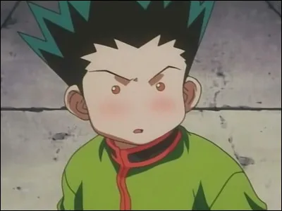 Qui double la voix française de Gon dans l'anime de 2011 ?