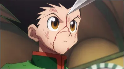 La guérison de Gon par Aruka Zoldik aura une conséquence sur lui, laquelle ?