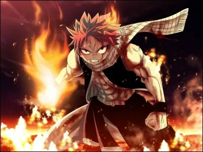 Qui est réellement Natsu ?
