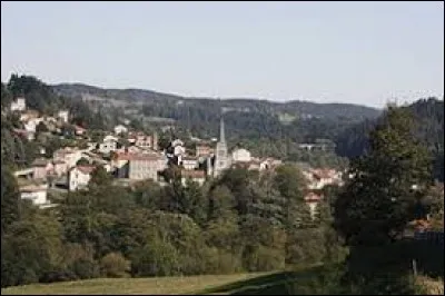 Commune d'Auvergne-Rhône-Alpes, dans l'arrondissement d'Yssingeaux, La Séauve-sur-Semène se situe dans le département .
