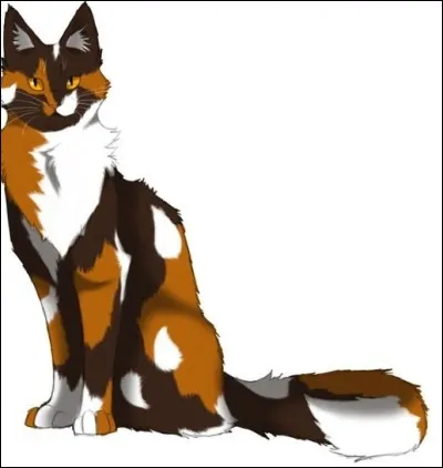 Le chef te nomme lieutenant... Quelle est ta réaction ?