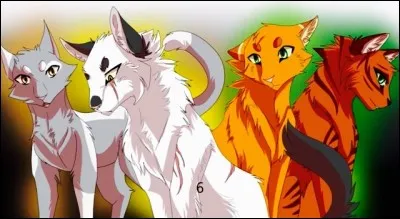 Tu apprends que ta petite amie (ne t'inquiète pas si tu es une fille) attend des chatons d'un chat d'un clan rival...