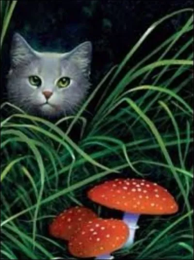 Quelle est ta technique favorite de chasse ?