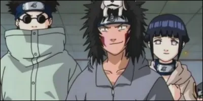 Les coéquipiers d'Hinata sont Kiba et Choji.
