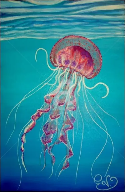 Combien de pourcentages d'eau contient une méduse ?