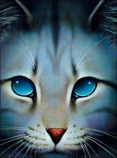 Je suis un chat , aveugle , je suis mort écrasé par un arbre. Qui suis-je ?