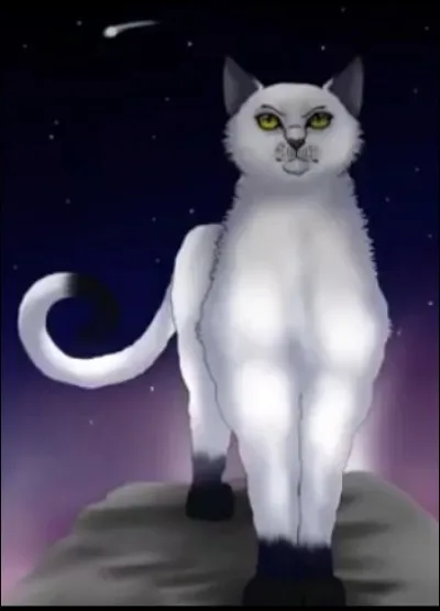 On trouve beaucoup de mon premier la nuit 
Mon deuxième est un arbre qu'on trouve beaucoup au Canada 
Mon tout est le chef de la Forêt Sombre. 
Qui suis-je ?