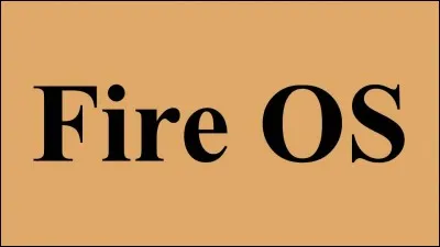 Quelle est la version Fire OS sur portable ?