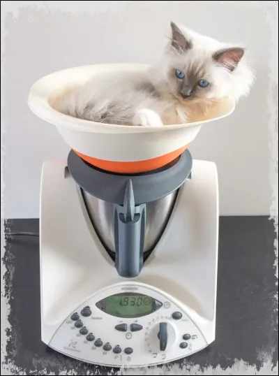 Combien pèse-t-il environ ?