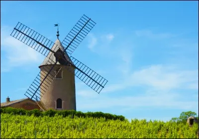 Littérature - Dans quel livre le héros, qui croyait se battre contre des géants, attaquait-il des moulins à vent ?