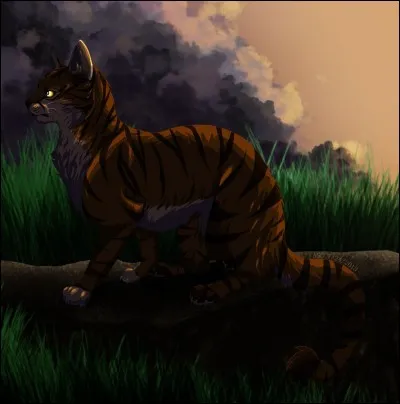 Qui est la compagne de Griffe de Ronce ?