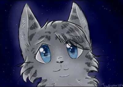 Qui y laisse sa vie ?