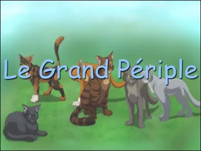 De retour dans leur forêt, où les clans vont-ils aller ?